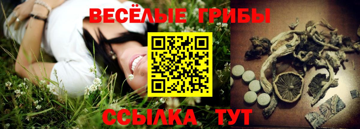 Галлюциногенные грибы MAGIC MUSHROOMS  наркотики  Вход с VPN  Армавир  Галлюциногенные грибы прущие грибы 